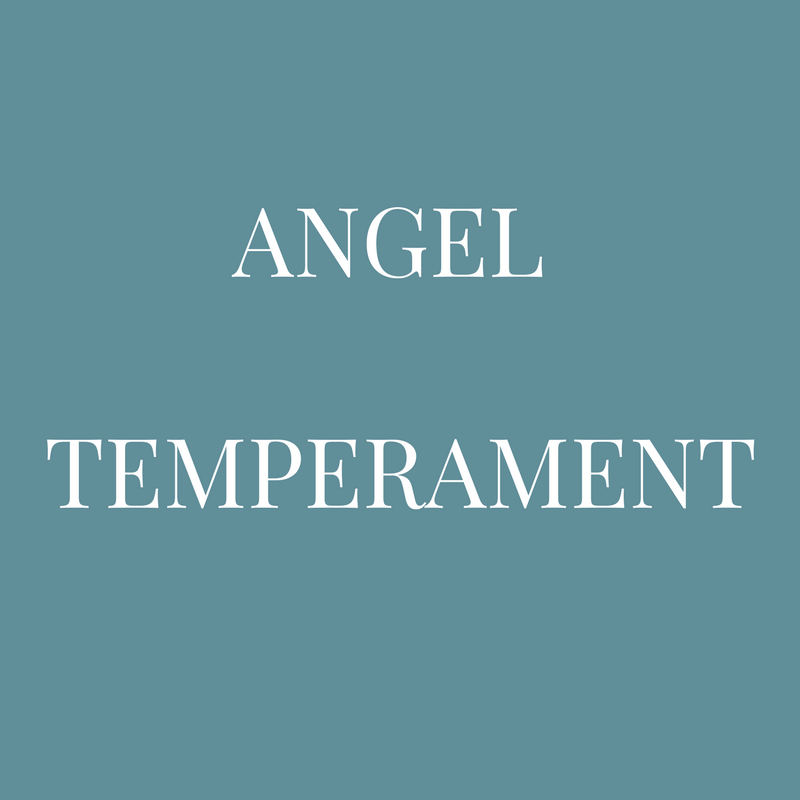 ANGEL TEMPERAMENT